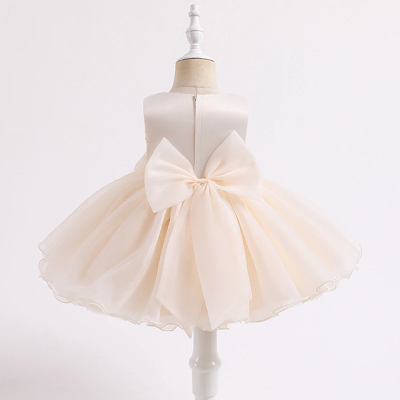 Sleeveless Sequins and Flower Organza Dress