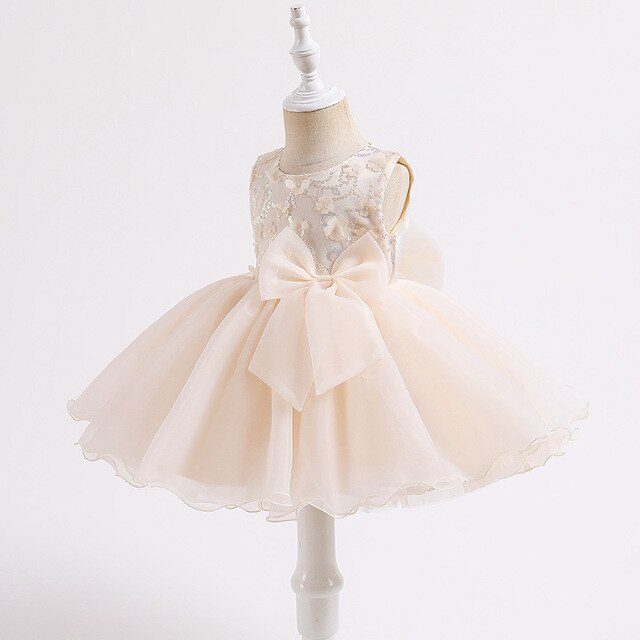 Sleeveless Sequins and Flower Organza Dress